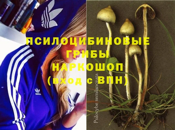прущий лед Надым