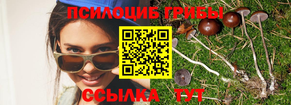 Псилоцибиновые грибы прущие грибы  Вход с VPN  Донской 
