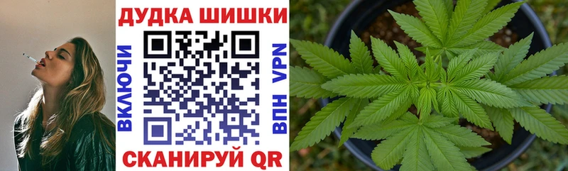 mega зеркало  купить наркоту  Донской  Канабис семена 