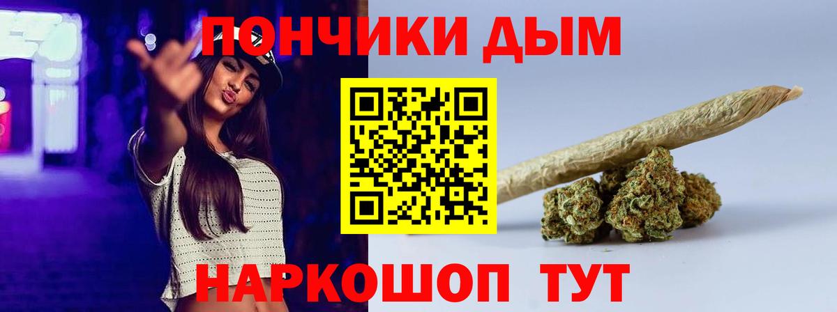 Бошки Шишки планчик Донской